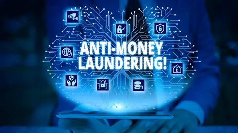 AML Consulting Services