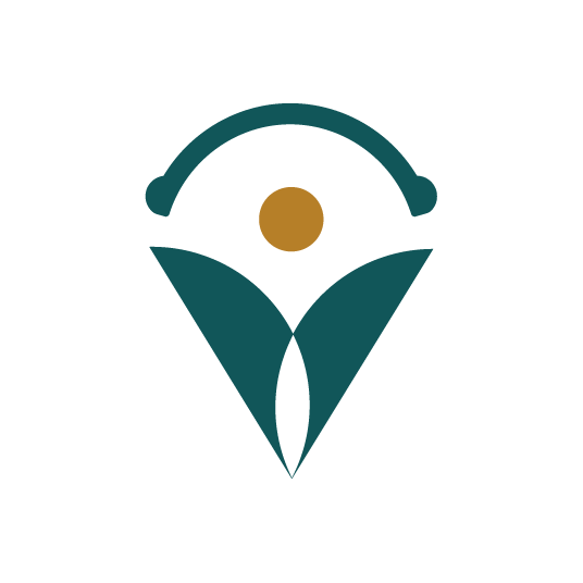 Medical scribe