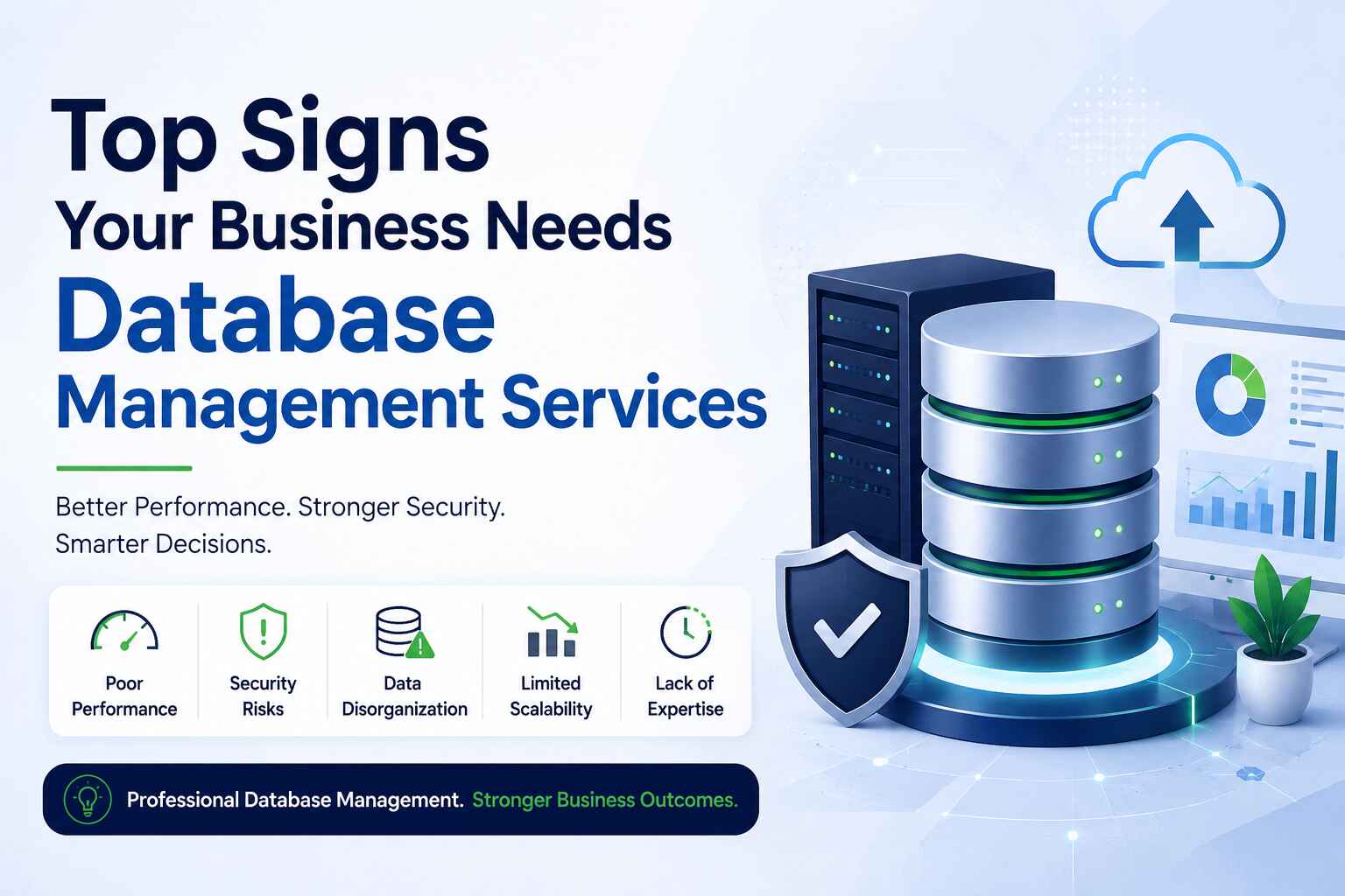 Database Management Services