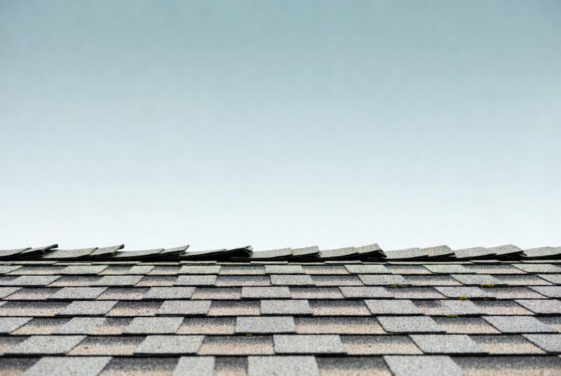 asphalt shingle roof