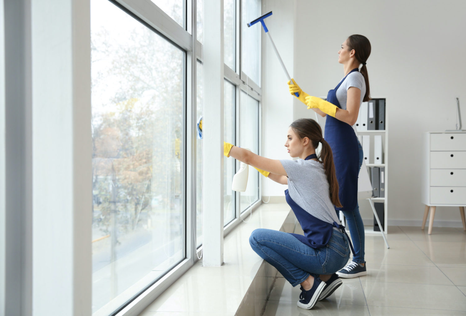 window cleaning services near me