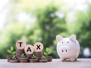Tax Consultant 