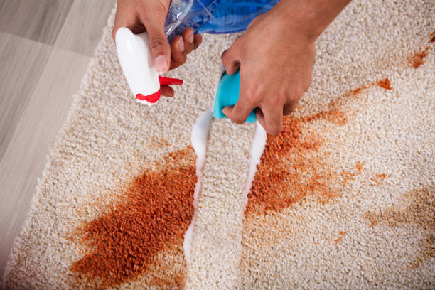 This is why carpet cleaning Fairfax is very important for every home and office. When carpets are clean, the whole place feels fresh and healthy.