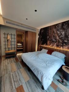 hotel rooms in bavdhan