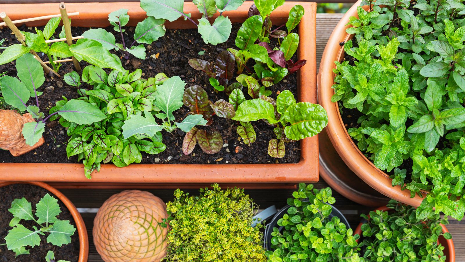 Best Self Watering Planters/Self Watering Planters