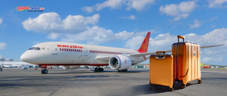 Air India's Domestic