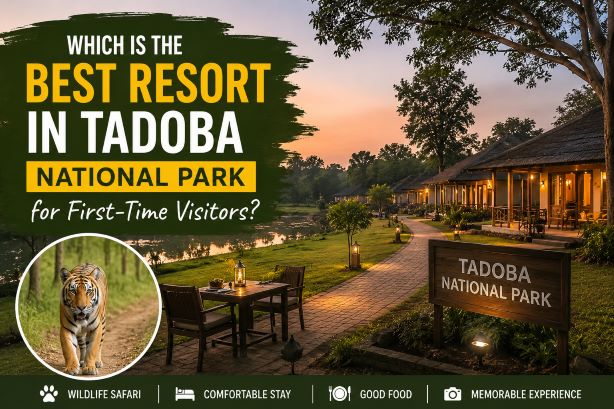 Best resorts in tadoba national park
