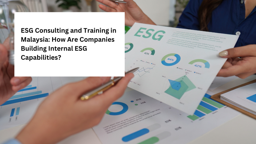 ESG Consulting and Training in Malaysia: How Are Companies Building Internal ESG Capabilities?