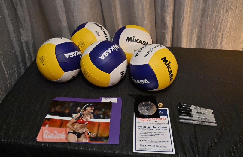 volleyball auction software