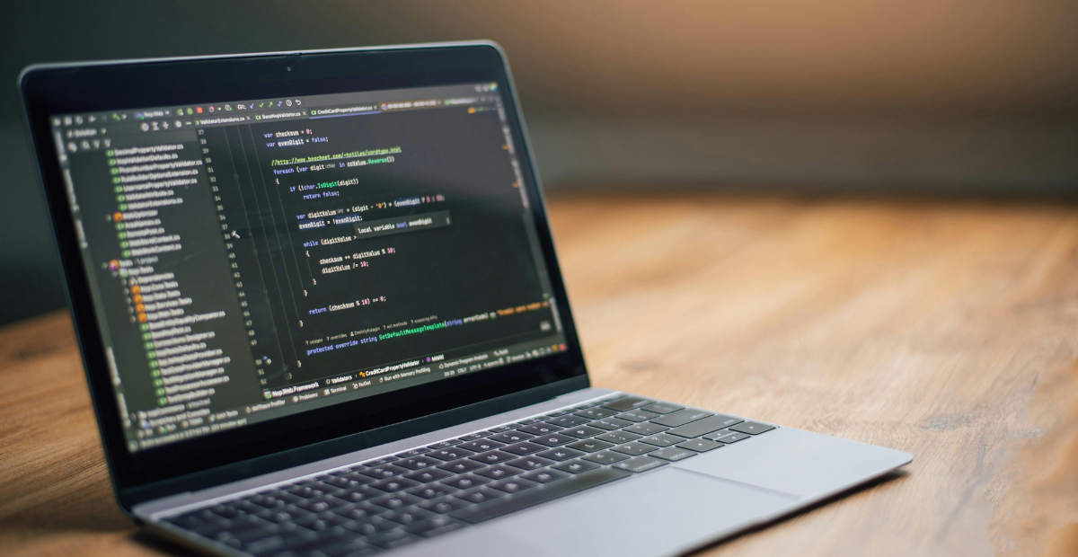 enterprise web development